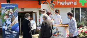 Silimarina – 5 beneficii pentru organism